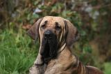 FILA BRASILEIRO 027